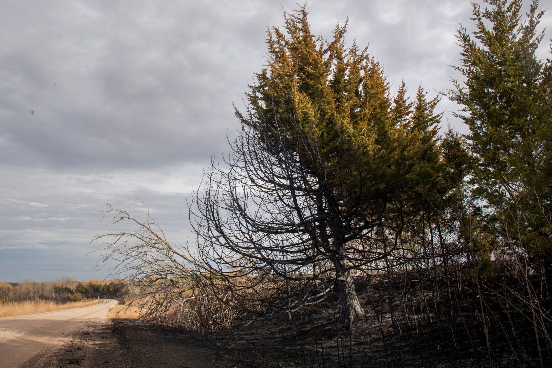 Grass fire, 10.24